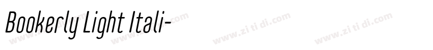 Bookerly Light Itali字体转换